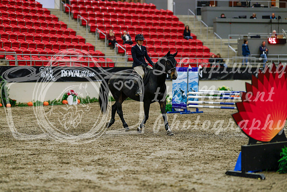 2025 - Haylee - Royal West - Thursday October 16th - 02975