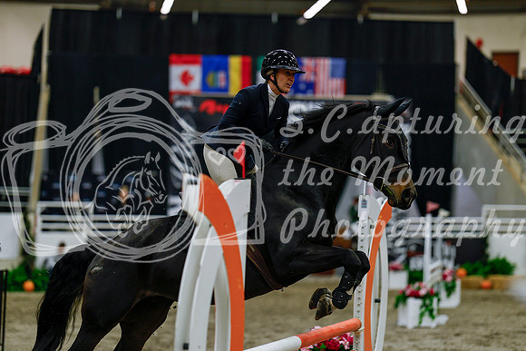 2025 - Haylee - Royal West - Thursday October 16th - 02982