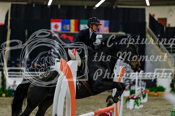 2025 - Haylee - Royal West - Thursday October 16th - 02983