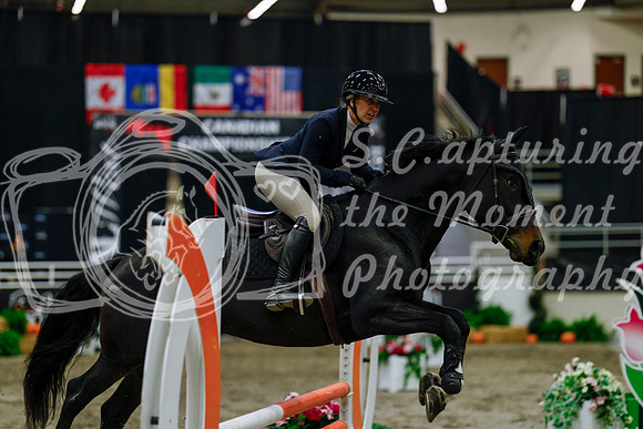 2025 - Haylee - Royal West - Thursday October 16th - 03109
