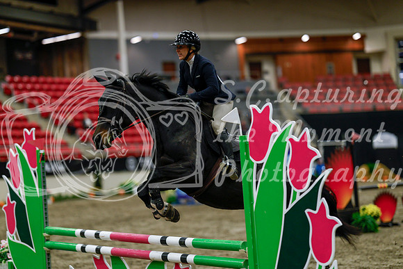 2025 - Haylee - Royal West - Thursday October 16th - 03110