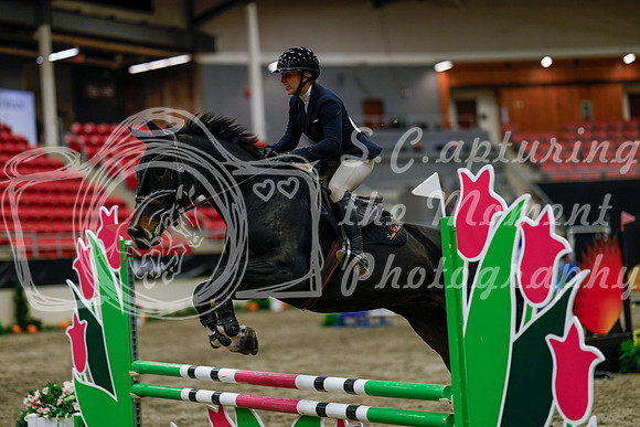 2025 - Haylee - Royal West - Thursday October 16th - 03113
