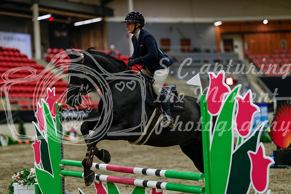 2025 - Haylee - Royal West - Thursday October 16th - 02732