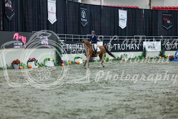 2025 - Shea - Royal West - Thursday October 16th - 04140