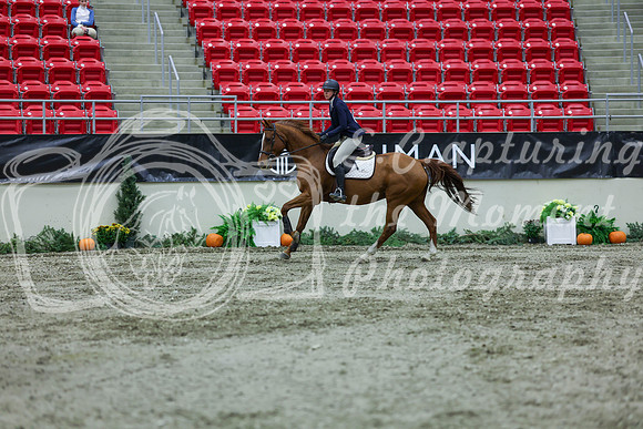 2025 - Shea - Royal West - Thursday October 16th - 04147