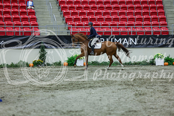 2025 - Shea - Royal West - Thursday October 16th - 04149