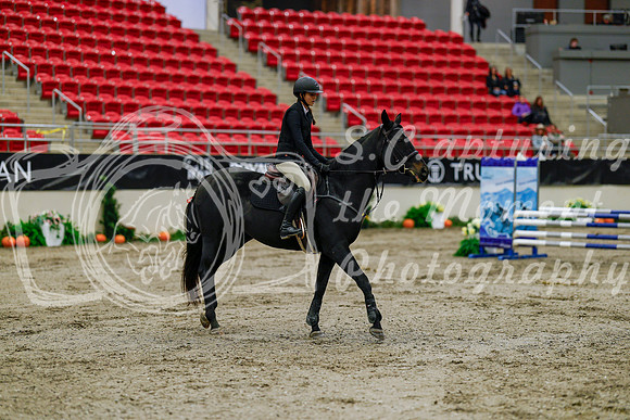 2025 - Haylee - Royal West - Thursday October 16th - 00518