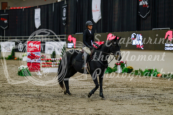 2025 - Haylee - Royal West - Thursday October 16th - 00534