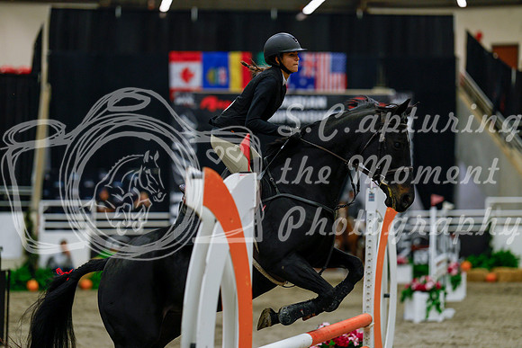 2025 - Haylee - Royal West - Thursday October 16th - 00654