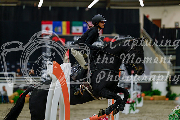 2025 - Haylee - Royal West - Thursday October 16th - 00657