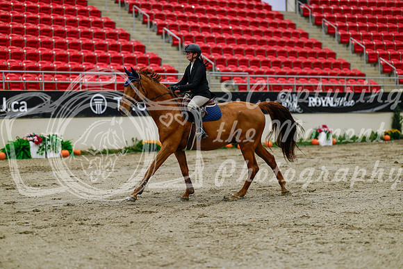 2025 - Haylee - Royal West - Thursday October 16th - 00446