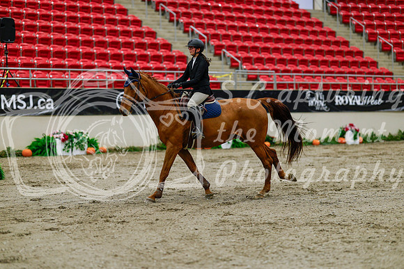 2025 - Haylee - Royal West - Thursday October 16th - 00449