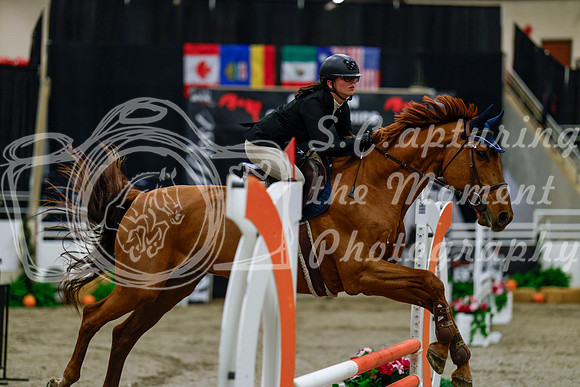 2025 - Haylee - Royal West - Thursday October 16th - 00454