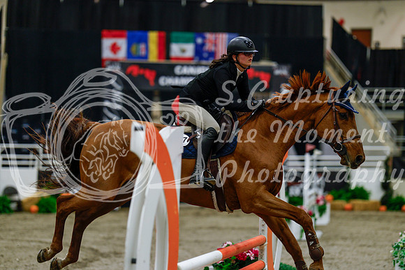 2025 - Haylee - Royal West - Thursday October 16th - 00456
