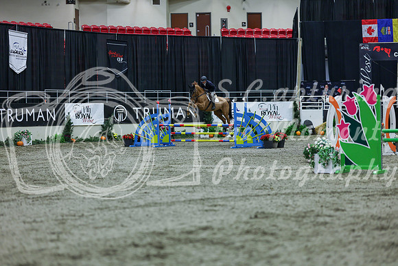 2025 - Shea - Royal West - Thursday October 16th - 03492