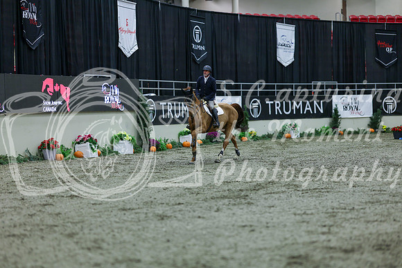 2025 - Shea - Royal West - Thursday October 16th - 03500