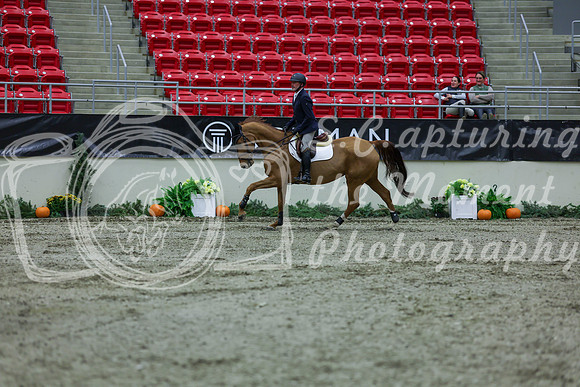 2025 - Shea - Royal West - Thursday October 16th - 03510
