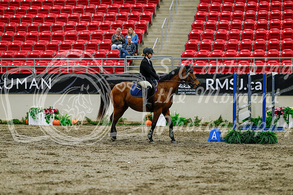 2025 - Haylee - Royal West - Thursday October 16th - 02054