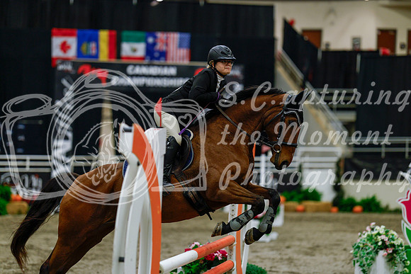 2025 - Haylee - Royal West - Thursday October 16th - 02058