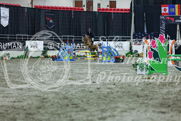 2025 - Shea - Royal West - Thursday October 16th - 05320
