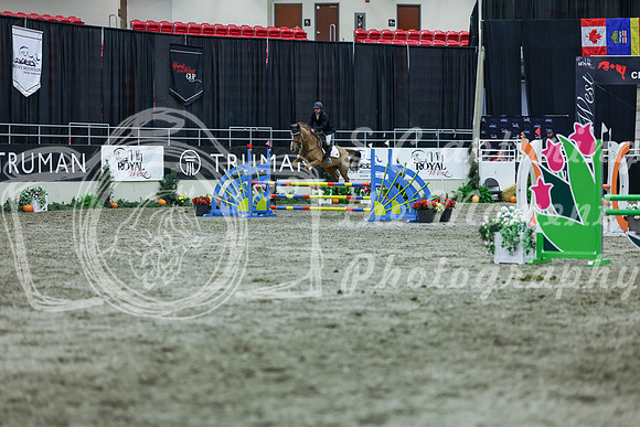 2025 - Shea - Royal West - Thursday October 16th - 05322