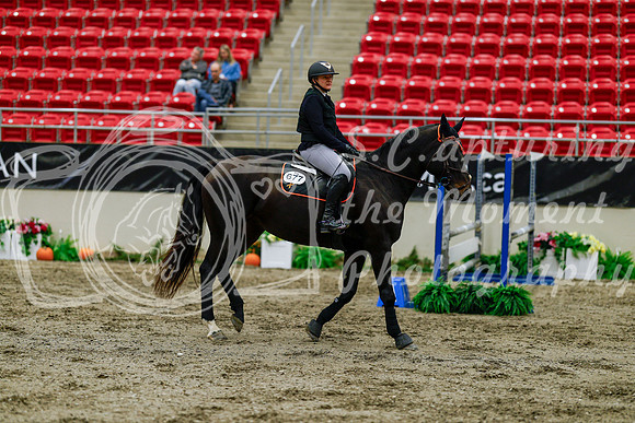 2025 - Haylee - Royal West - Thursday October 16th - 02121
