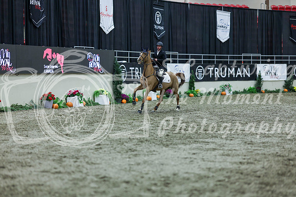 2025 - Shea - Royal West - Thursday October 16th - 05331