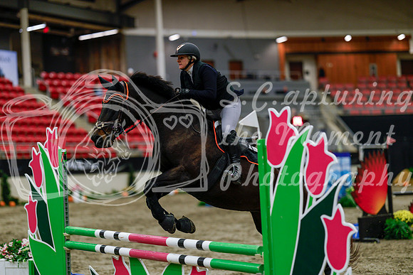 2025 - Haylee - Royal West - Thursday October 16th - 02134