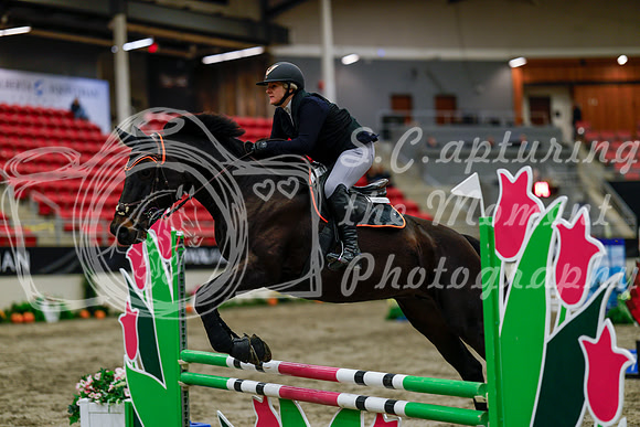 2025 - Haylee - Royal West - Thursday October 16th - 02138