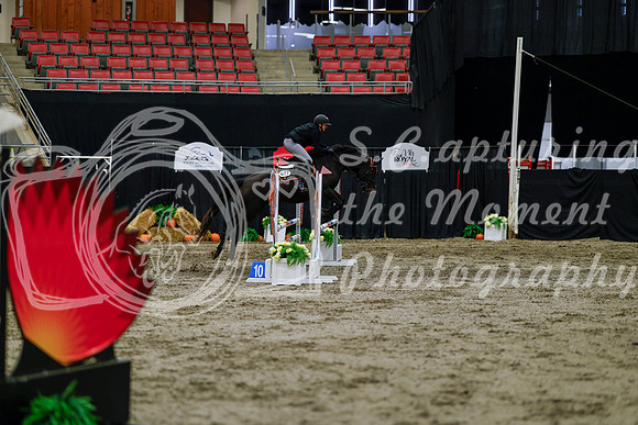 2025 - Haylee - Royal West - Thursday October 16th - 02175