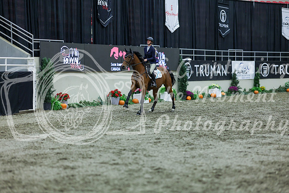 2025 - Shea - Royal West - Thursday October 16th - 05244