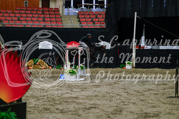 2025 - Haylee - Royal West - Thursday October 16th - 02179