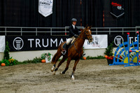 2025 - Haylee - Royal West - Thursday October 16th - 01659