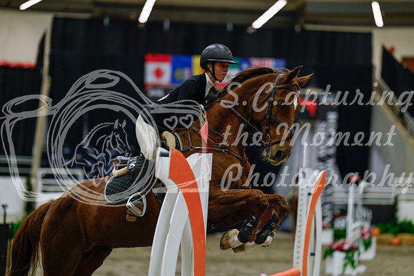 2025 - Haylee - Royal West - Thursday October 16th - 01663