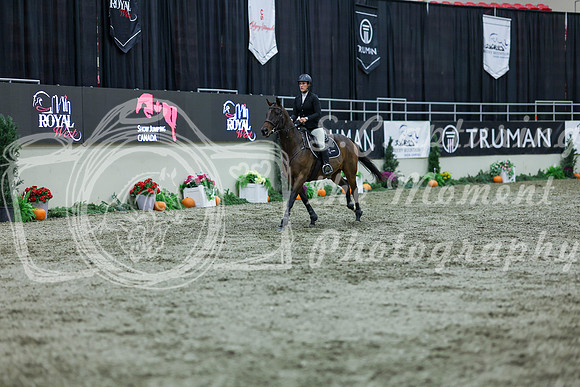 2025 - Shea - Royal West - Thursday October 16th - 04652