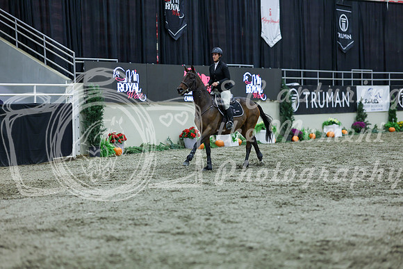 2025 - Shea - Royal West - Thursday October 16th - 04655