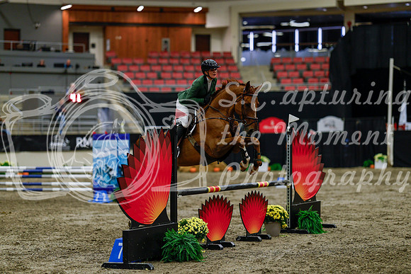 2025 - Haylee - Royal West - Thursday October 16th - 02949