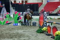 2025 - Shea - Royal West - Thursday October 16th - 06034