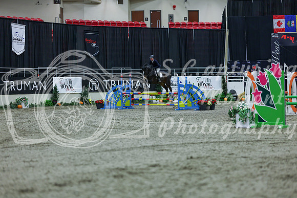 2025 - Shea - Royal West - Thursday October 16th - 03328
