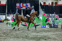 2025 - Shea - Royal West - Thursday October 16th - 04408