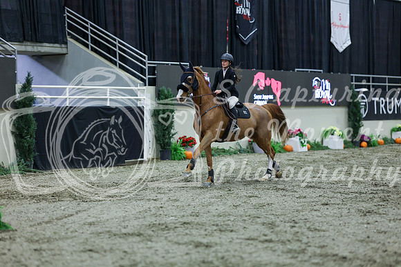 2025 - Shea - Royal West - Thursday October 16th - 04423
