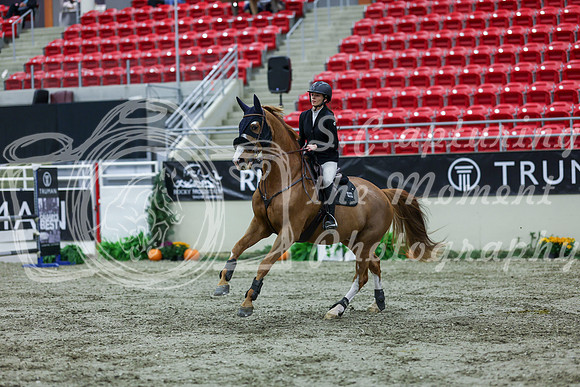 2025 - Shea - Royal West - Thursday October 16th - 04433
