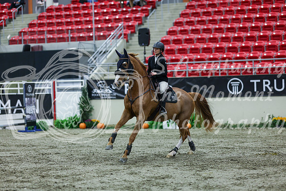 2025 - Shea - Royal West - Thursday October 16th - 04434