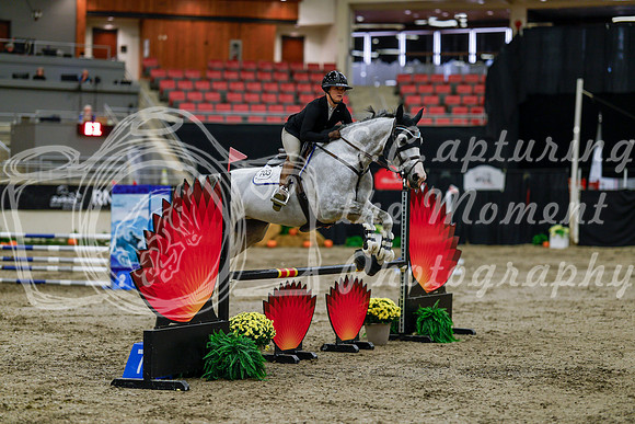 2025 - Haylee - Royal West - Thursday October 16th - 00815