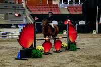 2025 - Haylee - Royal West - Thursday October 16th - 01318