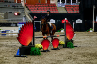2025 - Haylee - Royal West - Thursday October 16th - 01319