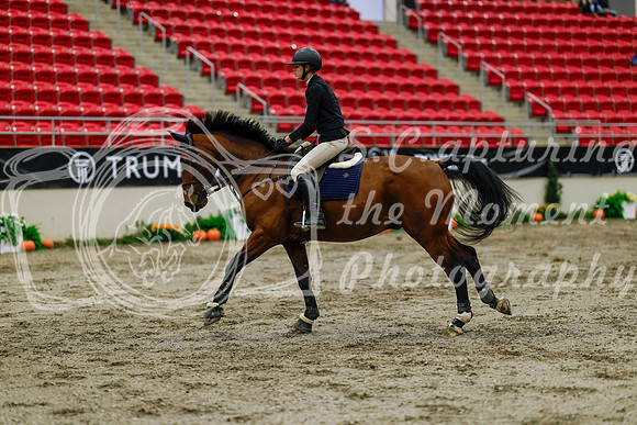 2025 - Haylee - Royal West - Thursday October 16th - 01320