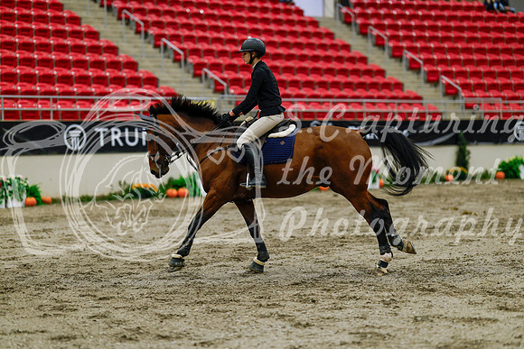 2025 - Haylee - Royal West - Thursday October 16th - 01321