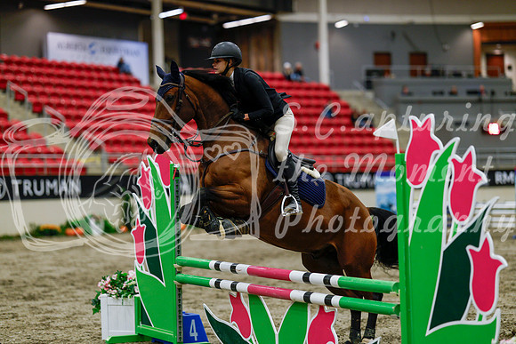 2025 - Haylee - Royal West - Thursday October 16th - 01334