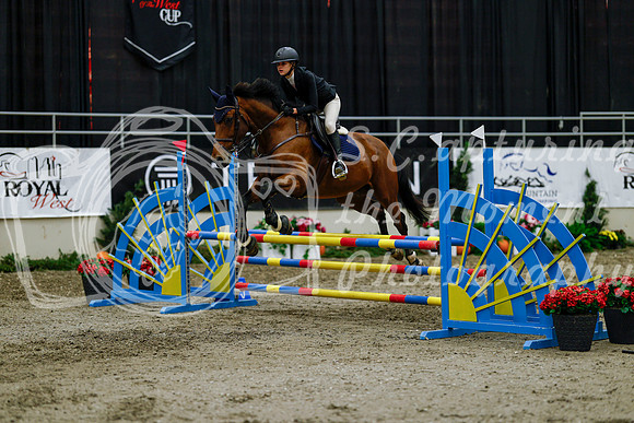 2025 - Haylee - Royal West - Thursday October 16th - 01345